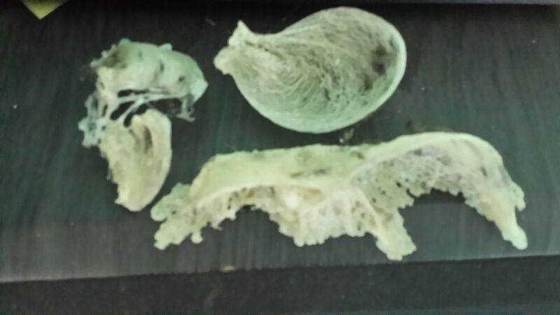 images/stories/raw bird nest 02.jpg